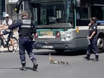 The mother duck and her baby ducklings cross the road safely with help from the police. (Instagram/@licsu) The mother duck and her baby ducklings cross the road safely with help from the police. (Instagram/@licsu)