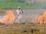 Paddy stubble burning has emerged as a major environmental issue in Punjab and its neighbouring states. Paddy stubble burning has emerged as a major environmental issue in Punjab and its neighbouring states. 