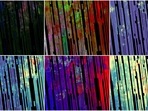 The pictures of Mars' surface released by Nasa.(Twitter/@NASAJPL) The pictures of Mars' surface released by Nasa.(Twitter/@NASAJPL)