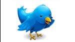 The action was in response to 24 legal directions sent by the government over 2021, according to Twitter’s disclosure to the Lumen database, an internet transparency archive. (Representational image) The action was in response to 24 legal directions sent by the government over 2021, according to Twitter’s disclosure to the Lumen database, an internet transparency archive. (Representational image)