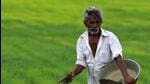 Patil said that he was punished for asking for fertilizers, as he hails from an agriculture family and had faced trouble last season which made him ask the minister. (REUTERS) Patil said that he was punished for asking for fertilizers, as he hails from an agriculture family and had faced trouble last season which made him ask the minister. (REUTERS)