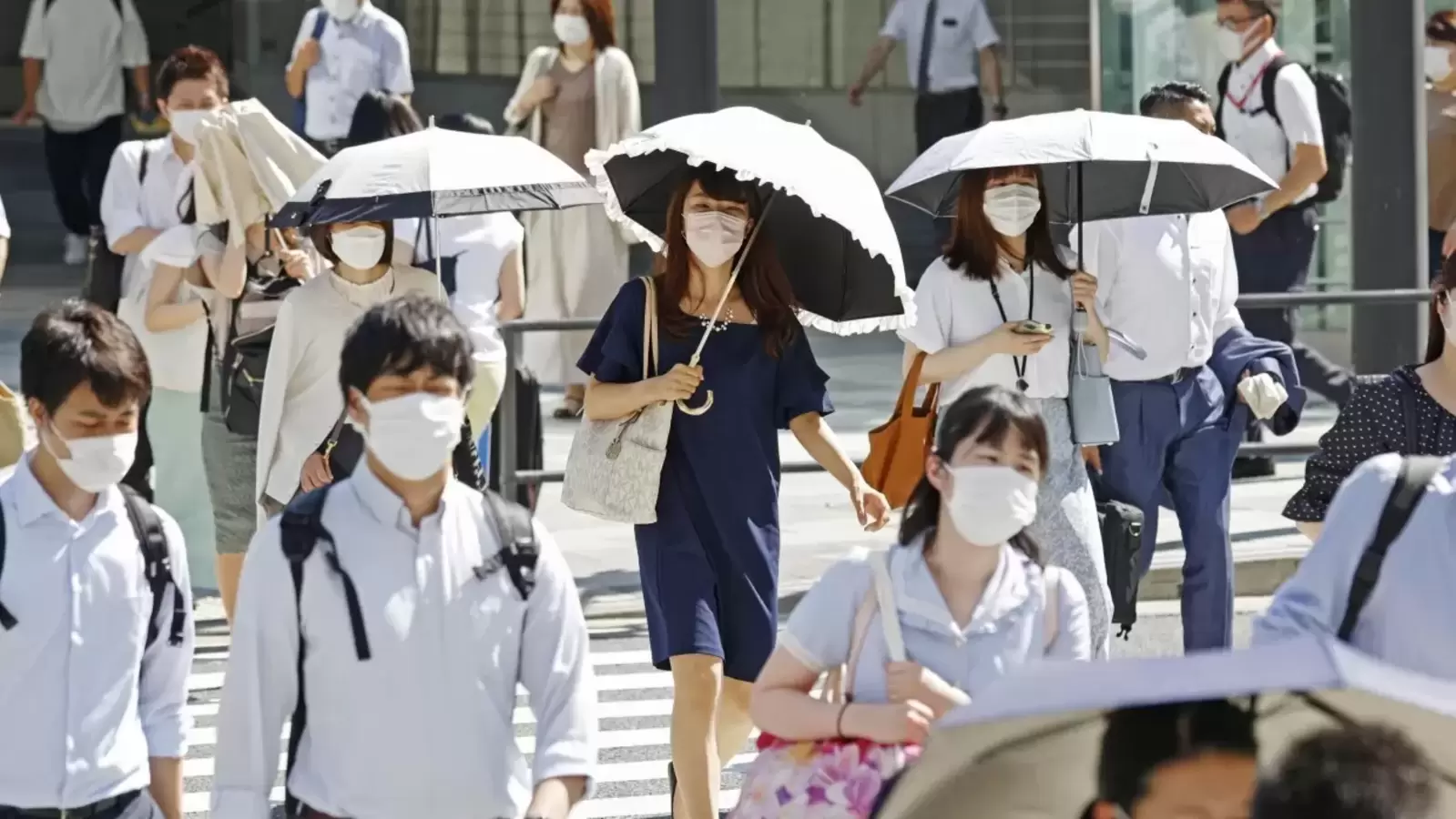 Japón ve temperaturas récord, pide ahorro de energía: un mínimo |  Noticias del mundo