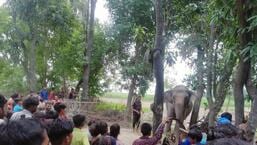 Villagers assembled in Beli village in Dudhwa buffer zone where the big cat killed a youth.  (HT photo)