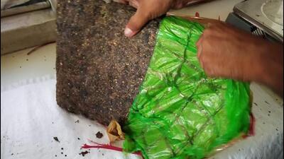 The vehicle, headed to Mumbai, was used to supply drugs to nearly 20 groups in the city, claimed NCB officials. (HT Photo) The vehicle, headed to Mumbai, was used to supply drugs to nearly 20 groups in the city, claimed NCB officials. (HT Photo)