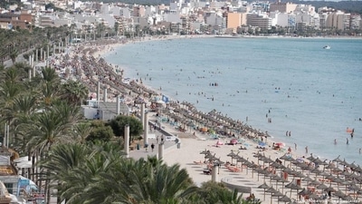 After quite times, Mallorca's bars and beaches are once again teeming with tourists (Clara Morgais/picture alliance/dpa ) After quite times, Mallorca's bars and beaches are once again teeming with tourists (Clara Morgais/picture alliance/dpa )