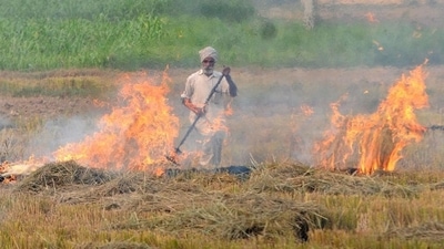 Paddy stubble burning has emerged as a major environmental issue in Punjab and its neighbouring states. (HT file) Paddy stubble burning has emerged as a major environmental issue in Punjab and its neighbouring states. (HT file)
