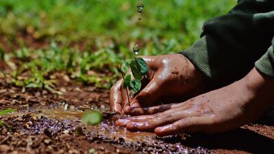 However, environmentalists said this approach sets a poor regulatory precedent, and that clearances for individual projects should be granted on a case-by-case basis (Praful Gangurde)