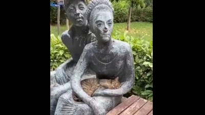 The image has been taken from the viral video posted on Twitter. (Twitter/@buitengebieden) The image has been taken from the viral video posted on Twitter. (Twitter/@buitengebieden)