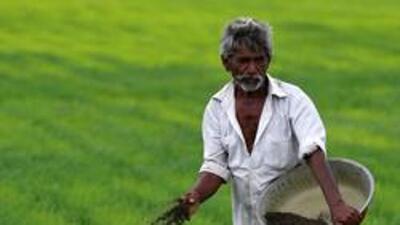 Patil said that he was punished for asking for fertilizers, as he hails from an agriculture family and had faced trouble last season which made him ask the minister. (REUTERS) Patil said that he was punished for asking for fertilizers, as he hails from an agriculture family and had faced trouble last season which made him ask the minister. (REUTERS)
