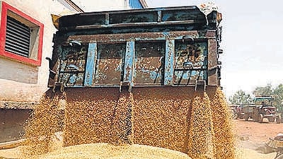 Punjab State Food Commission conducted a surprise check on the distribution of wheat under the Pradhan Mantri Garib Kalyan Aan Yojana in Ludhiana. (HT File)