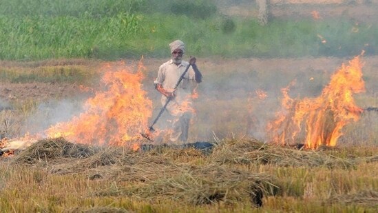 Paddy stubble burning has emerged as a major environmental issue in Punjab and its neighbouring states.&nbsp;(HT file)
