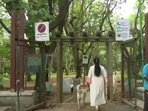 In a controversial decision, the horticulture department has put in a proposal prohibiting the entry of pet dogs into Bengaluru's Cubbon park, In a controversial decision, the horticulture department has put in a proposal prohibiting the entry of pet dogs into Bengaluru's Cubbon park,