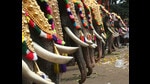 Elephants at the Thrissur Pooram festival in Thrissur, Kerala. The ornamental head covering is called a nettipattam. (HT Archive) Elephants at the Thrissur Pooram festival in Thrissur, Kerala. The ornamental head covering is called a nettipattam. (HT Archive)