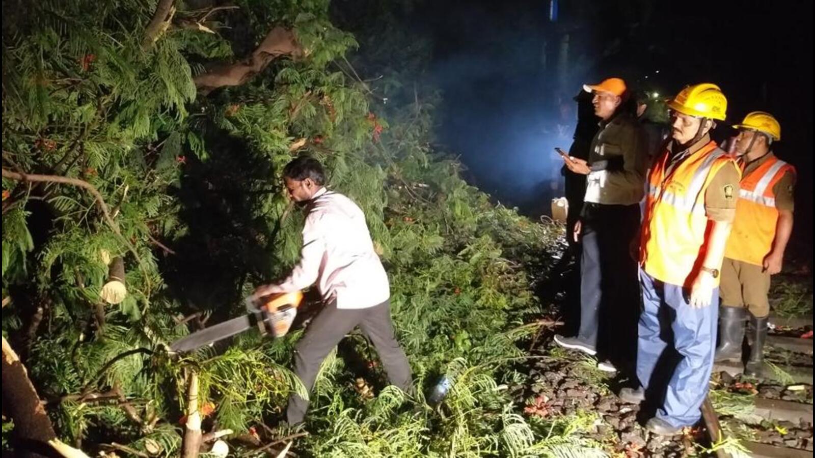 Loco pilot averts major mishap after tree falls on railway track near ...