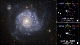 There are various types of supernovae depending on the size and composition of the star and the power of the blast.
