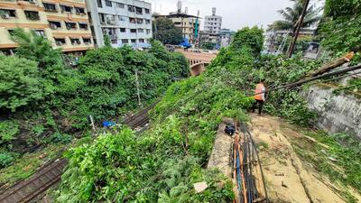 The spot where the tree branches feel from Parsik tunnel on Monday night. Disaster was averted as alert loco pilot applied brakes. (PRAFUL GANGURDE/HT PHOTO) The spot where the tree branches feel from Parsik tunnel on Monday night. Disaster was averted as alert loco pilot applied brakes. (PRAFUL GANGURDE/HT PHOTO)