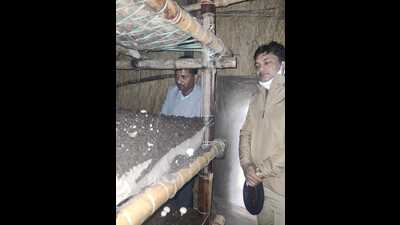 Farmers growing mushrooms in the artificial bed-like structure. (HT Photo) Farmers growing mushrooms in the artificial bed-like structure. (HT Photo)