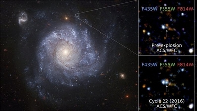 There are various types of supernovae depending on the size and composition of the star and the power of the blast. (REUTERS)