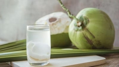 4. Tender Coconut Water - Tender coconut water is one of the most natural drinks for staying hydrated. It has a sweet nutty flavour and is naturally refreshing. It rehydrates the body because it contains carbohydrates in the form of electrolytes and sugar, which help to maintain the body's water balance. It has the ability to revive and energise your body, which is beneficial in the heat as well as when you are ill. Apoorva Gururaj, Founder and CEO of Bengaluru-based Foodio.fit, revealed, “Tender coconut water is now also easily available in a sachet form, thus making it convenient when you want it and where you want it. Mix the sachet with cold or room temperature water and a quick swirl and you get fresh, tender coconut water right at your work desk or at home or on a picnic or now even in the mountains. Coconut water is an excellent way to rehydrate while also providing a variety of minerals and electrolytes to the body. Moreover, coconut water, unlike sugar-sweetened beverages, usually has various health benefits. This makes it an excellent alternative for diabetics or others who want to cut down on their sugar-sweetened beverages or make some coconut based mocktails or cocktails.”&nbsp; (Shutterstock)