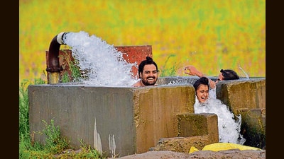 AAP govt to soon launch policy to give new tube well connections; Punjab power minister (HT Photo) AAP govt to soon launch policy to give new tube well connections; Punjab power minister (HT Photo)