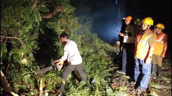 Official removing the fallen tree from the railway track at Parsik tunnel. (HT Photo)