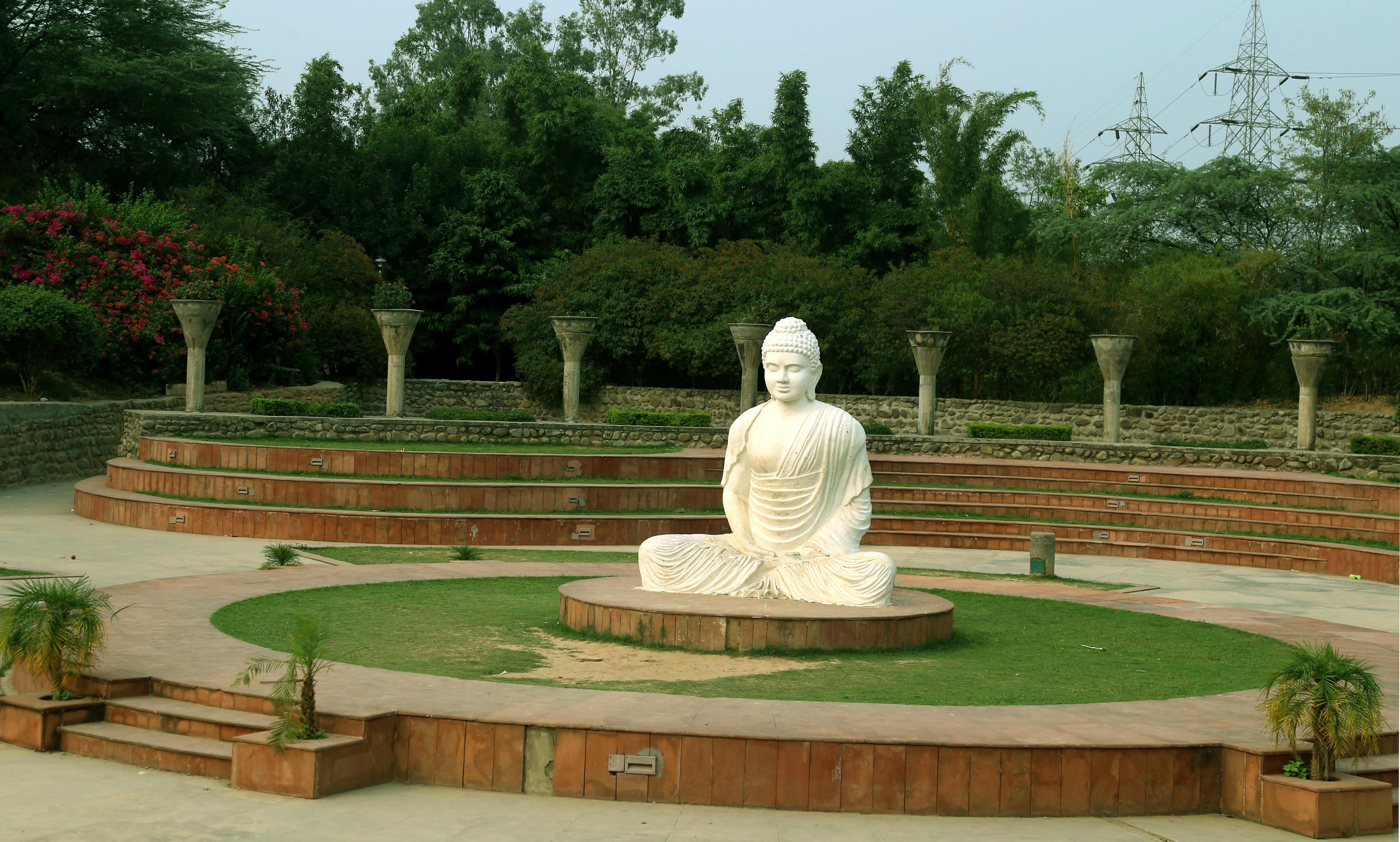 Garden of Silence