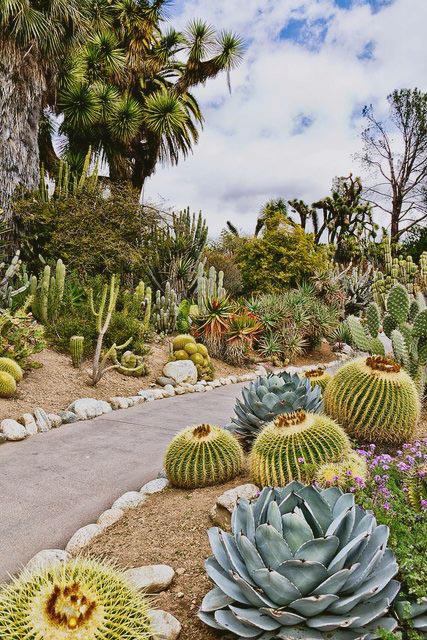 Cactus garden, Panchkula