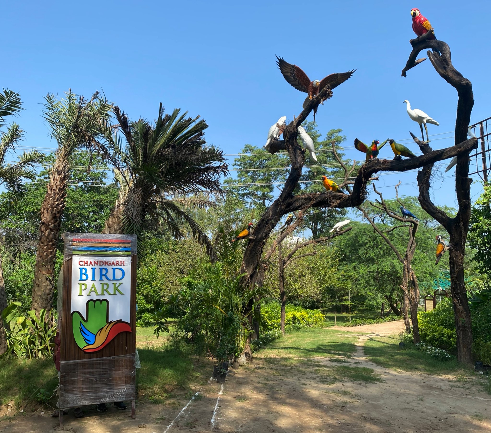 Chandigarh Bird Park