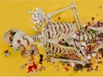 National Doctors' Day 2022: Make your bones stronger with these few simple tips (cottonbro) National Doctors' Day 2022: Make your bones stronger with these few simple tips (cottonbro)