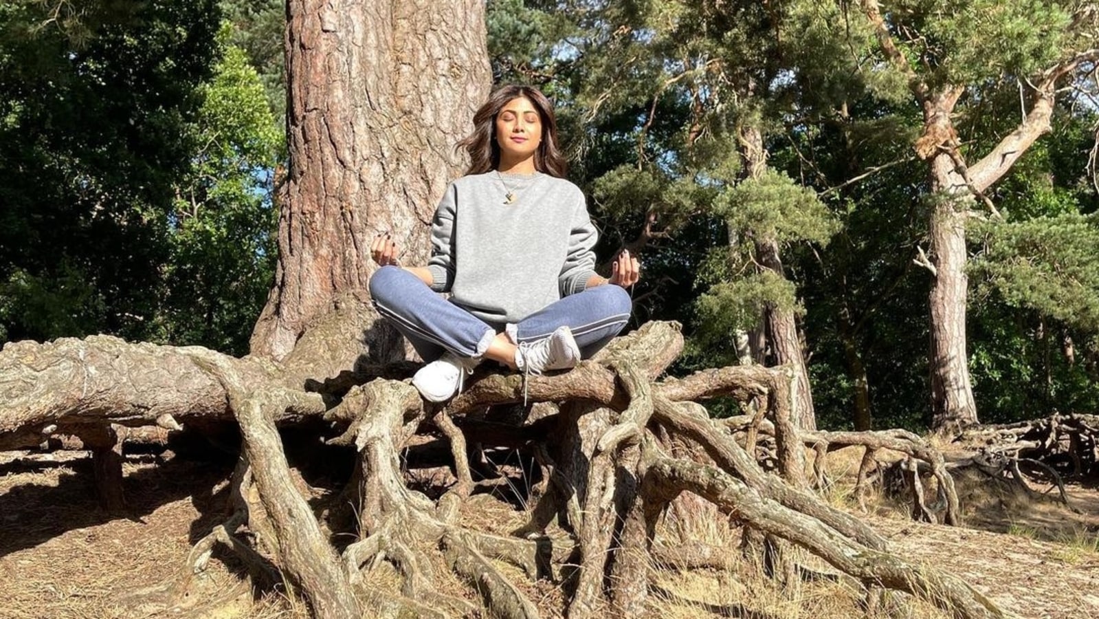 Shilpa Shetty sits on a tree as she performs yoga, fans warn her ‘gir jaogi’. See pic