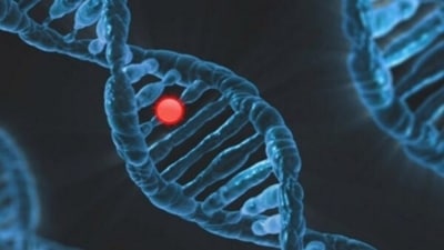 Role of single gene linked to epilepsy, autism identified: Study (ANI)