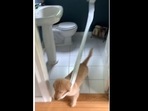 The golden retriever puppy ‘decorated’ its human's house with toilet paper. (dogsofinstagram/Instagram) The golden retriever puppy ‘decorated’ its human's house with toilet paper. (dogsofinstagram/Instagram)