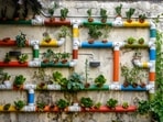ULBs could provide standards for the use of terraces, balconies, and open spaces within private/cooperative housing society compounds for urban agricultural use. (Shutterstock) ULBs could provide standards for the use of terraces, balconies, and open spaces within private/cooperative housing society compounds for urban agricultural use. (Shutterstock)