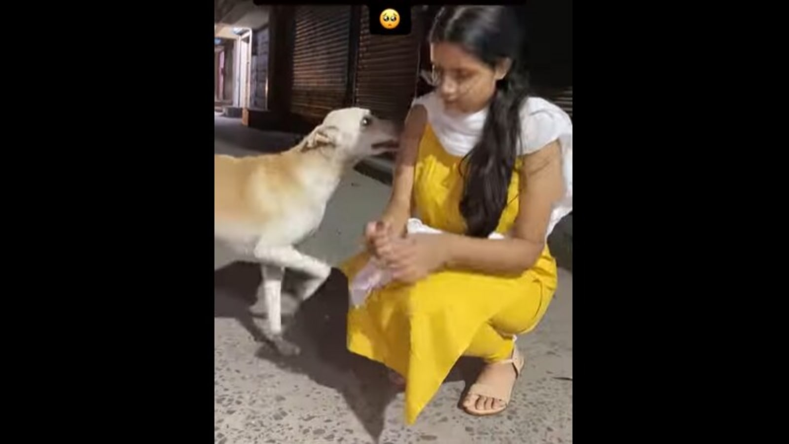Dog Xxvideo - Woman meets stray dog she fed after months, he starts crying in emotional  video | Trending - Hindustan Times