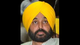 Punjab chief minister Bhagwant Mann had strongly opposed the proposal brought during the Congress regime to set up textile industry in Mattewara forest, said Punjab Youth Congress president Brinder Singh Dhillon on Thursday. (HT File)