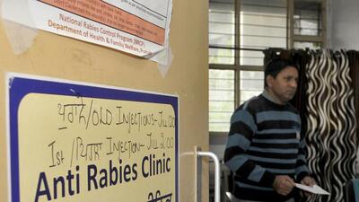 A college student succumbed to rabies infection despite taking necessary vaccination at Mankara in north Kerala on Thursday. (Representative Photo)