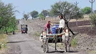 After all, why would a couple armed with cushy jobs decide to bid adieu to the US. Recalling my visit to the country last year, I listed out points in favour of the US. It runs the most enviable public services. (Representative Image/HT File) After all, why would a couple armed with cushy jobs decide to bid adieu to the US. Recalling my visit to the country last year, I listed out points in favour of the US. It runs the most enviable public services. (Representative Image/HT File)
