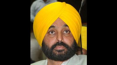 Punjab chief minister Bhagwant Mann had strongly opposed the proposal brought during the Congress regime to set up textile industry in Mattewara forest, said Punjab Youth Congress president Brinder Singh Dhillon on Thursday. (HT File)