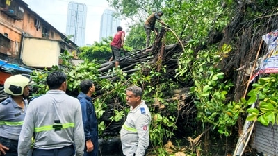 Brihanmumbai Municipal Corporation (BMC) workers and firefighters remove a tree that got uprooted due to heavy rainfall, at Dadar, in Mumbai. (Deepak Salvi)