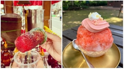Shaved Ice and Barf Ka Gola: They are both famous street foods in their respective regions. As the name suggests, they are desserts made with shaved ice which is topped with flavours or dry fruits and fruits. (Instagram/@mother_of_kenshi/@khao_piyo_ghumo_phiro) Shaved Ice and Barf Ka Gola: They are both famous street foods in their respective regions. As the name suggests, they are desserts made with shaved ice which is topped with flavours or dry fruits and fruits. (Instagram/@mother_of_kenshi/@khao_piyo_ghumo_phiro)