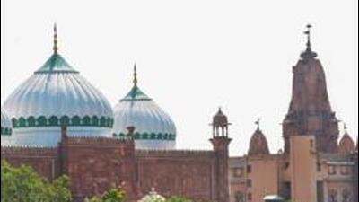 The petitioners have also claimed that there is material evidence within Shahi Eidgah that they allege Muslim parties could damage, remove or conceal. (PTI) The petitioners have also claimed that there is material evidence within Shahi Eidgah that they allege Muslim parties could damage, remove or conceal. (PTI)