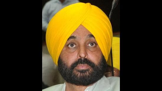 Punjab chief minister Bhagwant Mann had strongly opposed the proposal brought during the Congress regime to set up textile industry in Mattewara forest, said Punjab Youth Congress president Brinder Singh Dhillon on Thursday. (HT File)