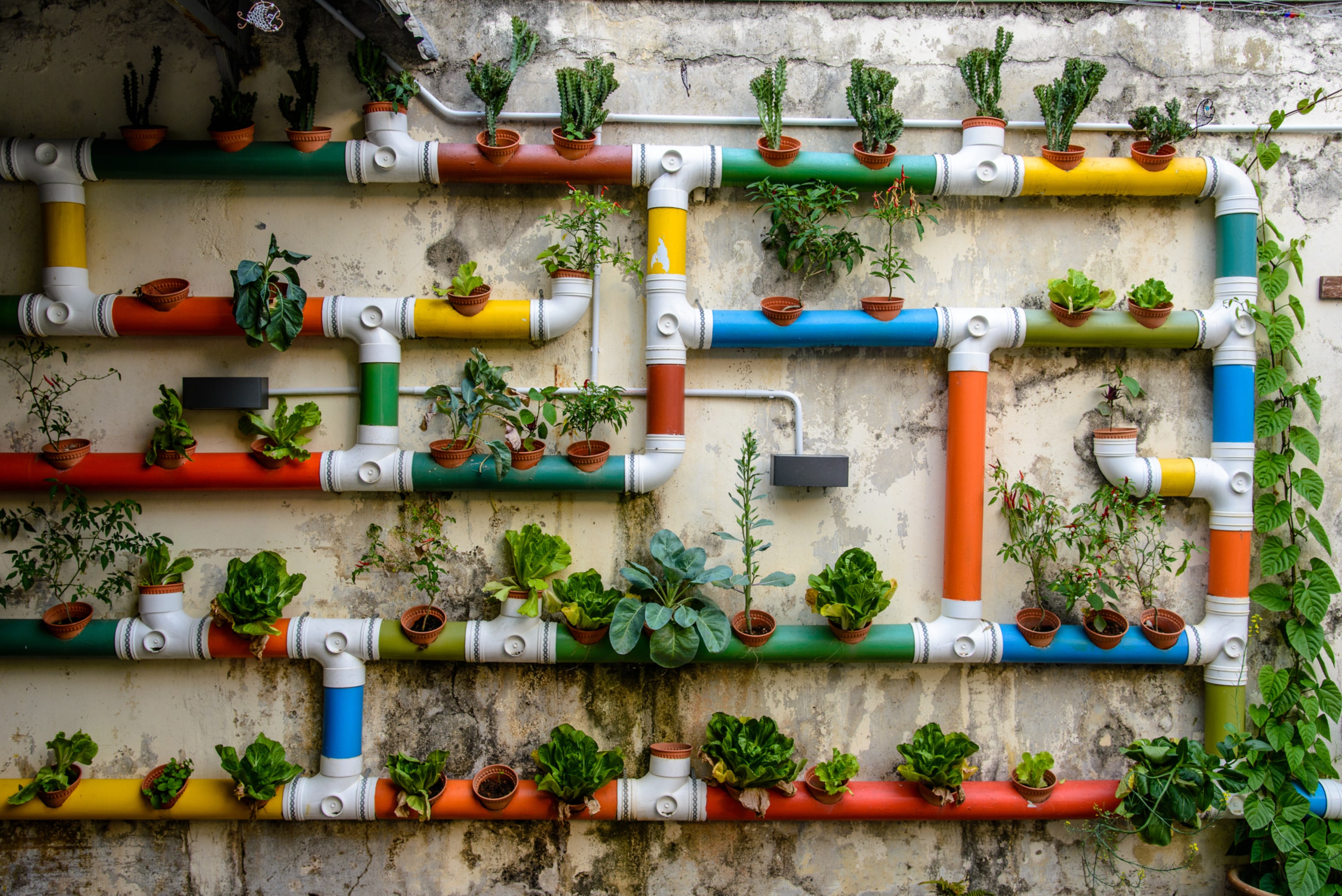 ULBs could provide standards for the use of terraces, balconies, and open spaces within private/cooperative housing society compounds for urban agricultural use. (Shutterstock)