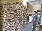 The announced rates for paddy, recommended by the CACP in March, reflect a larger absolute increase in MSP over what has typically been observed over the last decades. (Gurpreet Singh/HT Photo) The announced rates for paddy, recommended by the CACP in March, reflect a larger absolute increase in MSP over what has typically been observed over the last decades. (Gurpreet Singh/HT Photo)