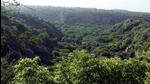 Earlier, a project developer had to provide land which is not notified as forest against forest diversion and had to bear the cost of raising compensatory afforestation over the same piece of land Earlier, a project developer had to provide land which is not notified as forest against forest diversion and had to bear the cost of raising compensatory afforestation over the same piece of land