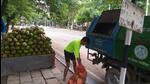 The Chandigarh MC has deployed eight garbage collection vehicles to collect coconut shells from 26 sites across the city. (HT Photo) The Chandigarh MC has deployed eight garbage collection vehicles to collect coconut shells from 26 sites across the city. (HT Photo)