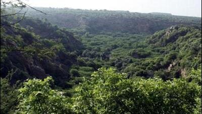 Earlier, a project developer had to provide land which is not notified as forest against forest diversion and had to bear the cost of raising compensatory afforestation over the same piece of land Earlier, a project developer had to provide land which is not notified as forest against forest diversion and had to bear the cost of raising compensatory afforestation over the same piece of land