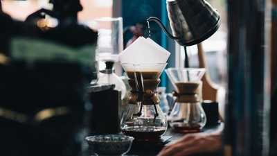 Avoid damaging your palate: Prevent your palate from going dull by avoiding smoking. Reduce drinking hot beverages, even though it heals, with time, it might flatten your taste buds. (Unsplash) Avoid damaging your palate: Prevent your palate from going dull by avoiding smoking. Reduce drinking hot beverages, even though it heals, with time, it might flatten your taste buds. (Unsplash)