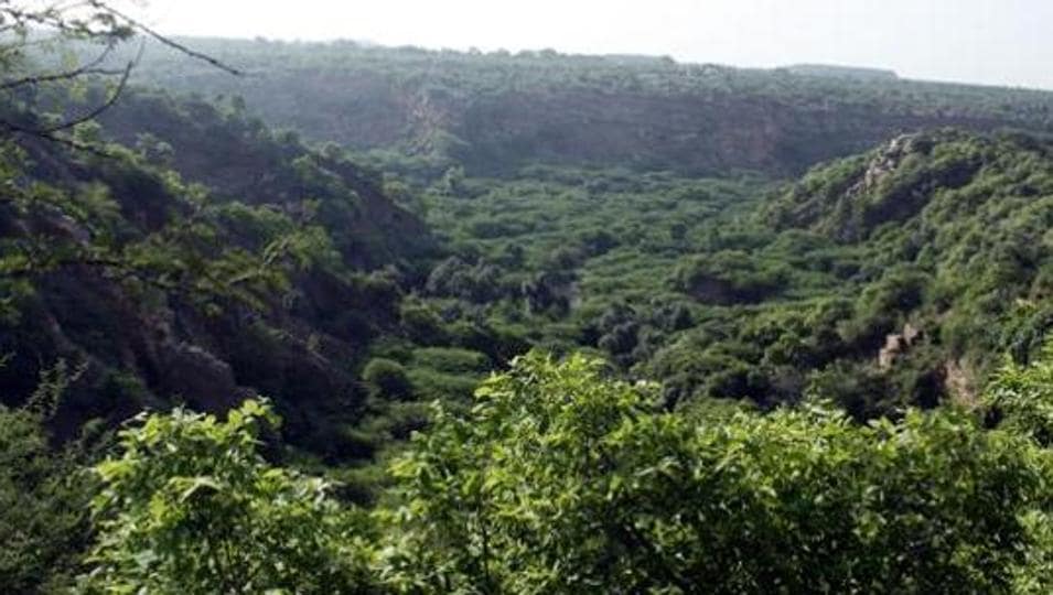For several years now, compensatory afforestation has been a challenge for both project developers and the environment ministry. (File Photo) For several years now, compensatory afforestation has been a challenge for both project developers and the environment ministry. (File Photo)