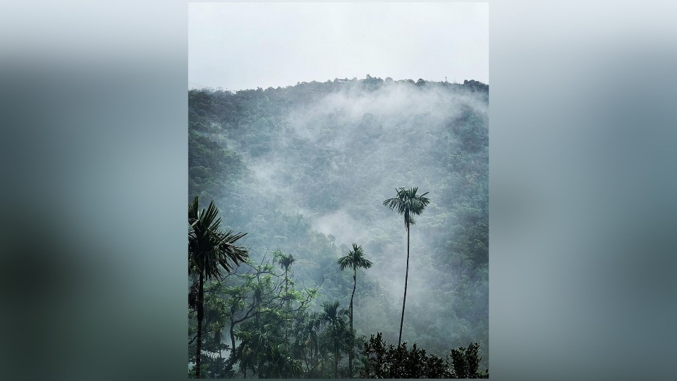 Mawsynram in Meghalaya. (Instagram/@ silpimandal20) Mawsynram in Meghalaya. (Instagram/@ silpimandal20)